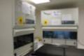 Cabina de flujo laminar para las muestras biológicas