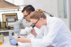 Biopsia